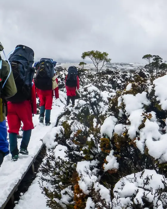 Expeditions program with Southbound Adventures
